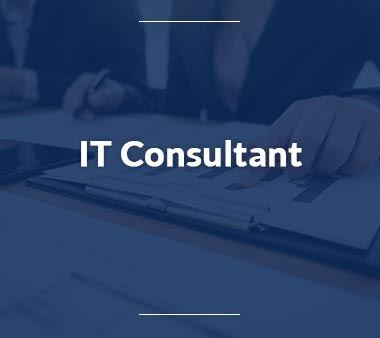 IT Consultant IT-Systemelektroniker