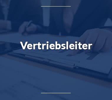 Business-Analyst-Vertriebsleiter