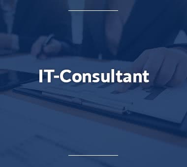 Business-Consultant-IT-Consultant