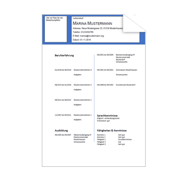 Lebenslauf Muster Zweispaltig