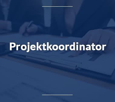 Projektkoordinator Jobs