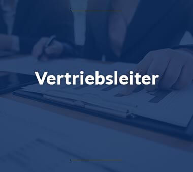 Vertriebsleiter Bestbezahlte Berufe