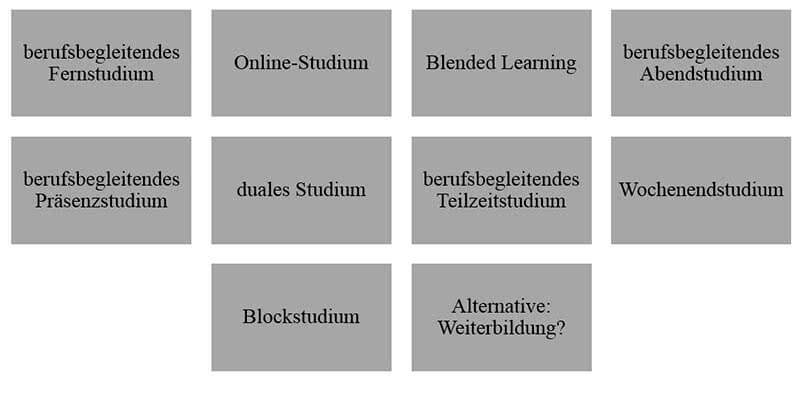 Berufsbegleitendes Studium Optionen